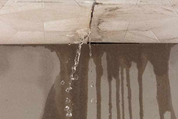 Professional Structural Drying technician working in Newfield, NJ